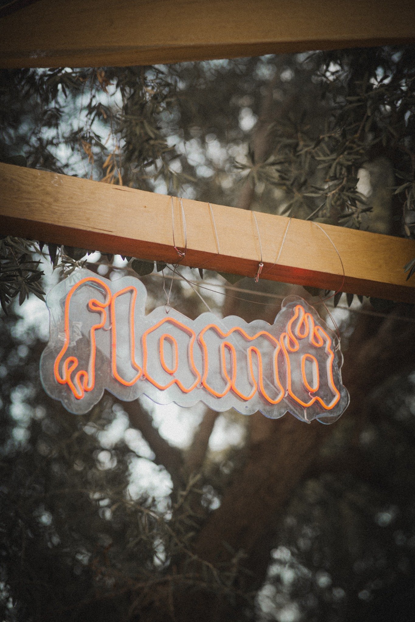 Detalle neón “flama”